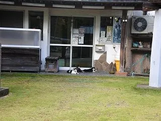 秋風と焚き火、ひとり静かに過ごしたキャン…