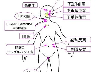 3こころとからだのしくみ 1022