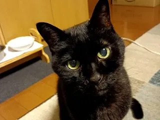 小休止