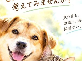 犬や猫を家族に迎えるとき、あなたなら何を…