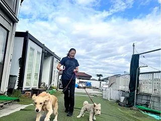 今日のシェルター通信です。🐶🐶💕