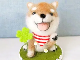 ☆柴犬くんに…♪