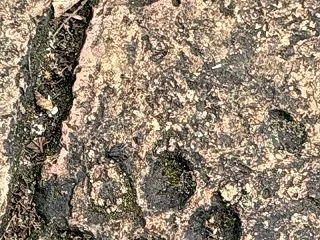 アユタヤのレンガに、誰かの足跡