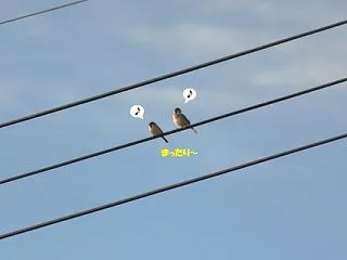 これから冬が来るのに