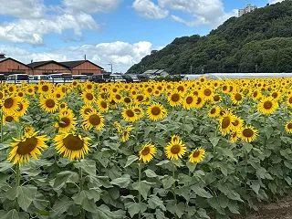 先日怒られた患者さんが…まさかの展開！