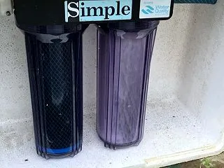親種と最終水換え日記その11