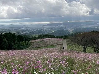【 新井家の現状と 未来 】