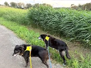 え？おかーさんが悪いの？