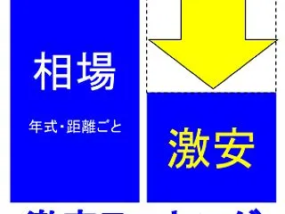 【週刊】今週の激安中古車ランキング 20…