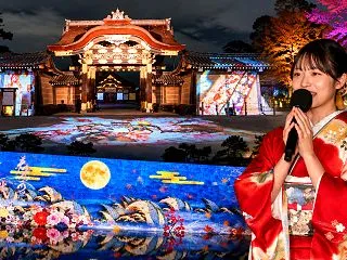 二条城2026の夜間ライトアップ先行取材…