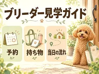 ブリーダー見学の流れと持ち物｜当日のマナ…