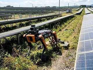 【草刈りも・・・。】栗を拾う《4足歩行ロ…