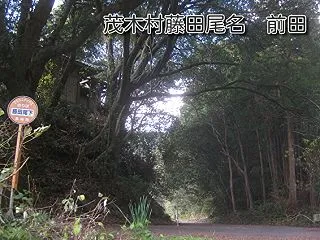 前田（茂木村藤田尾名 前田）森山神社周辺…
