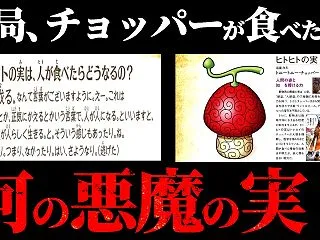 最終結論。“ヒトヒトの実”の真実。【ワン…