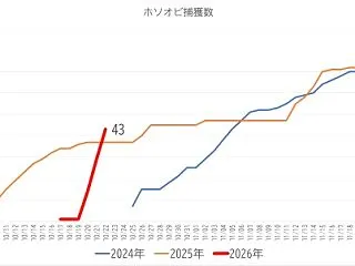 異常なペース。