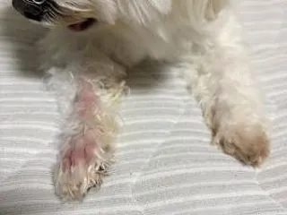 足に異変！急いで病院へ