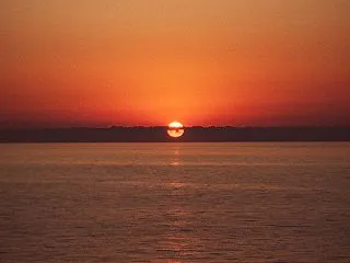 今年もまた、「来年こそ」と言いますか？