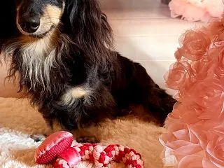 『kawaii』 & 『大好き❤…