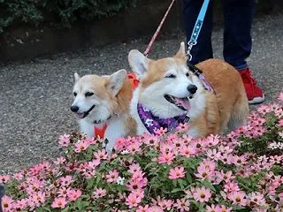誕生日の翌日は