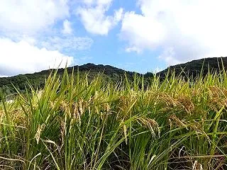 中から出てくる怖いもの