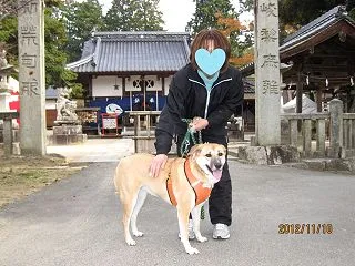 ただただ愛だけで