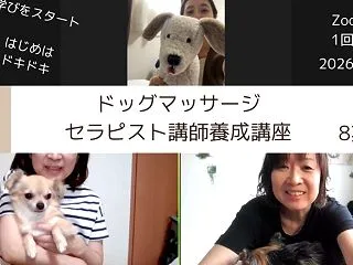 ドッグマッサージ講師への学び・できること…