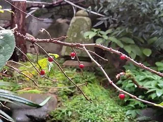竹原白龍弁財天