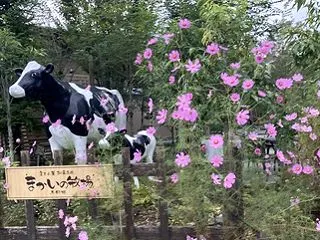 富士山方面へ♪