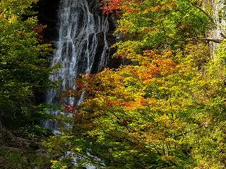 色づき始めた唐沢の滝その２