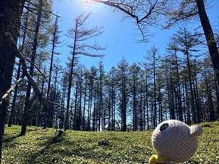 「見えない力」（・∀・）