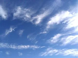 『サロンさまフランスはいま炎上中』（26…