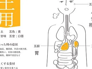 巡る秋が深まる節目 ―お腹の不調と背中・…
