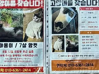 【ソウル】小道にハマって考えてみる
