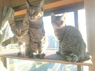 劇的ビフォアフター♪