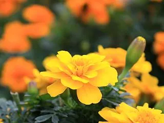 滑り台を無理に滑らせるとトラウマになる