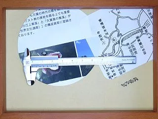 スタンプ 回転印 植物柄（生け文具４５８…