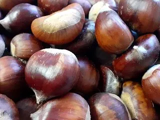 栗ご飯の季節です