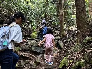 子ども5人と加波山登山 4．山頂からモス…