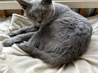 ５分しか経ってないよ～(つд⊂)