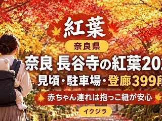 奈良 長谷寺の紅葉2026｜見頃・駐車場…