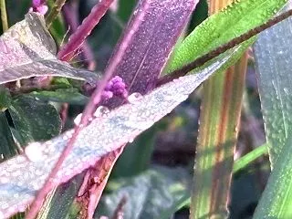 自己の本質に気づく♡