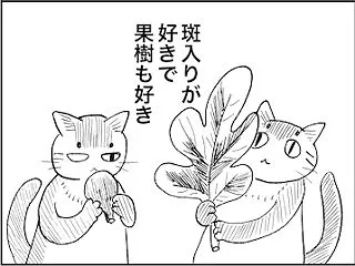 二兎を追う