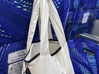 ダイソーバッグはバズり中GUバッグに似た…