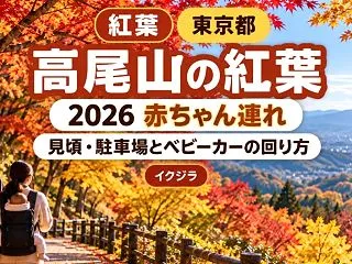 高尾山の紅葉2026｜見頃・駐車場と赤ち…