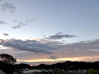 フレイルはこうして進んでゆくのか