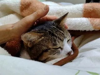 左側