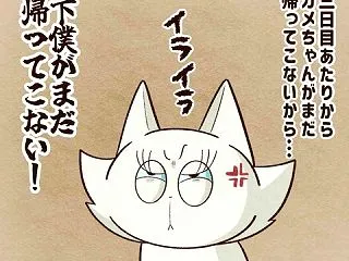 プリンセシータの様子