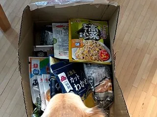 税関にがっぽり払わさせられました
