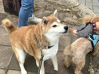 まさか総理大臣が呼びかけるとは……