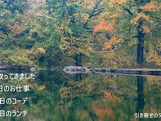 最高気温24度の日